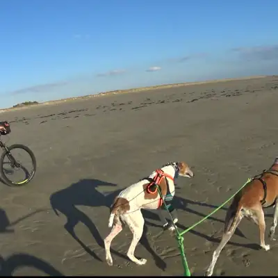 JobRad-Moment Joerg JobRad-Moment Joerg